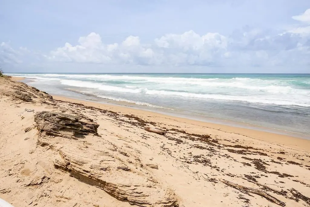 Paradise Coast Pr - Penthouse Isabela Porto Rico